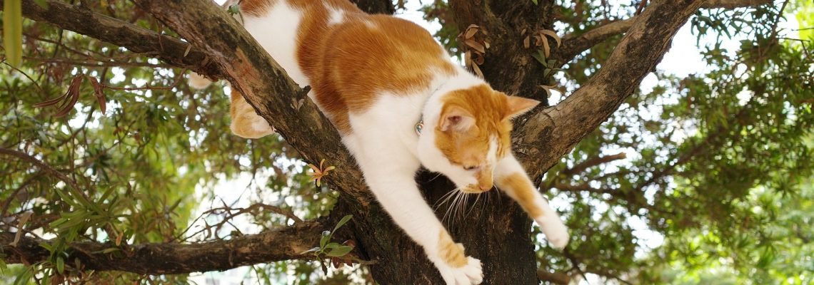 251105139_10159878877024810_6873266733657403483_n-5