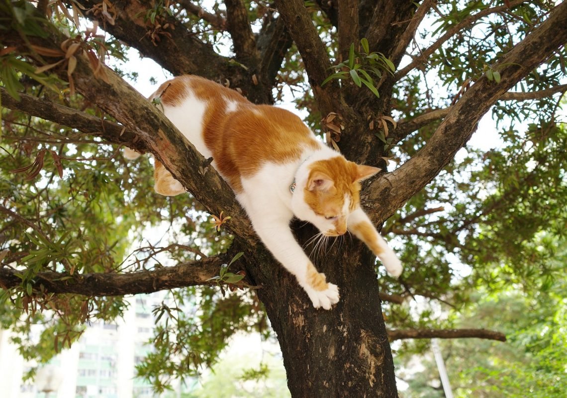 251105139_10159878877024810_6873266733657403483_n-5