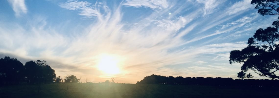 5EEF345B-12EF-4124-B24B-358B3D6E85FD