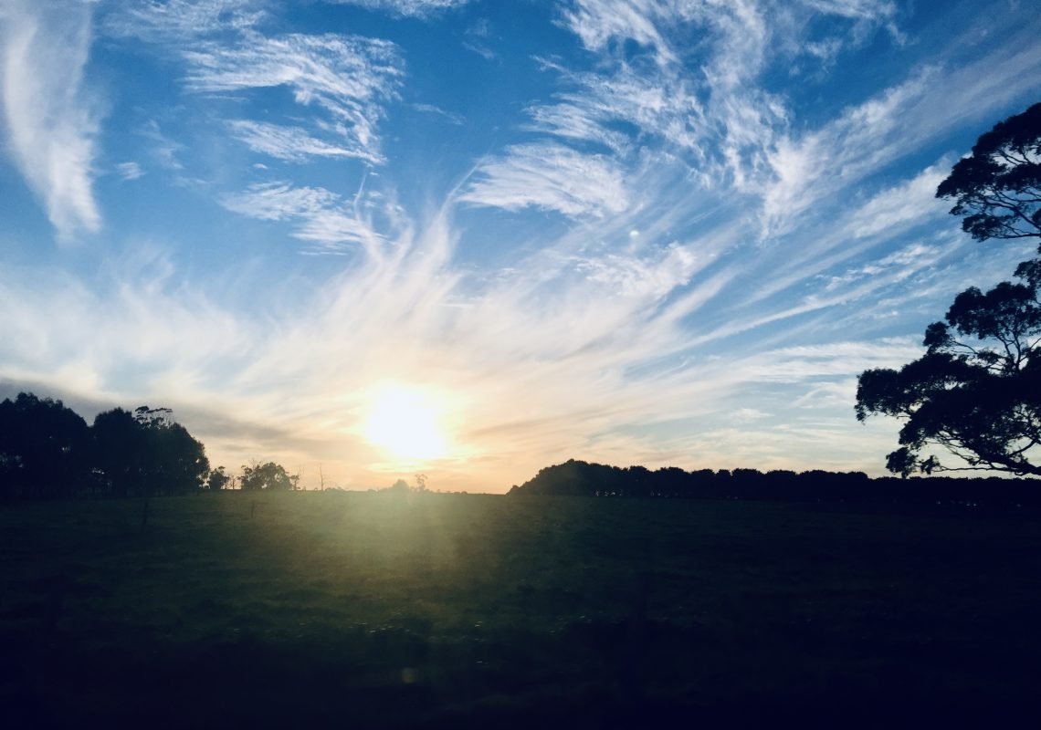 5EEF345B-12EF-4124-B24B-358B3D6E85FD