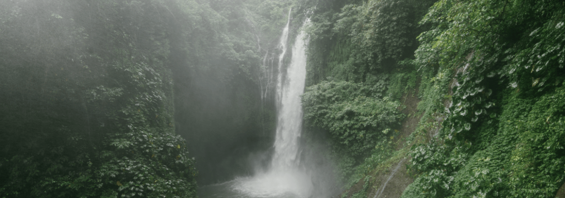 miranda_background-1