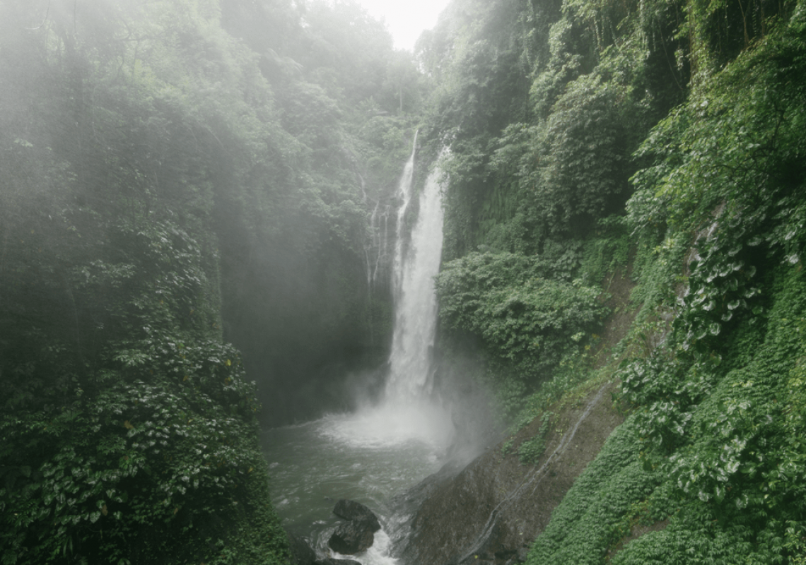 miranda_background-1